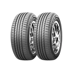 Kit 2 Pneus Golden Crown Aro 17 205/50 R17 RP68 93V