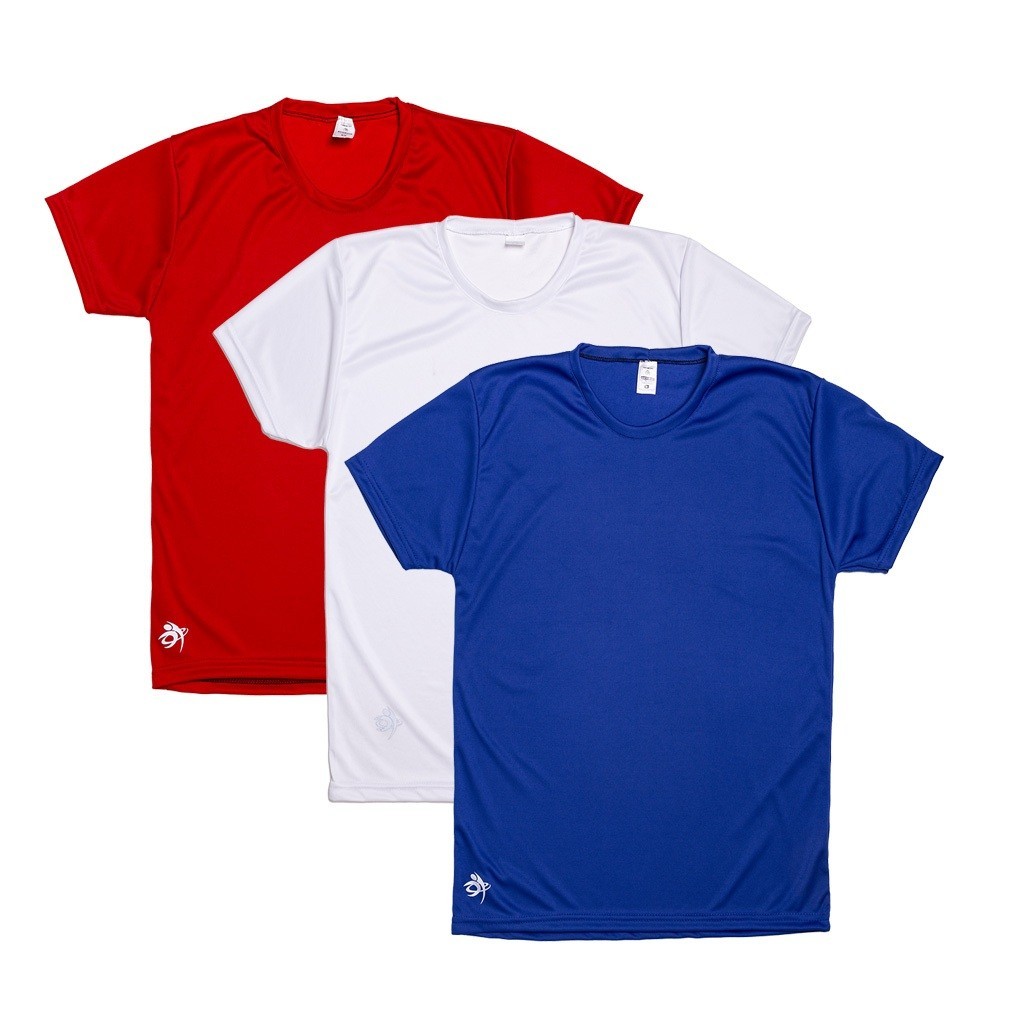 kit / Conjunto 3 Camisetas Dry Fit Masculina Casual - Treino - Academia Oferta Inverno