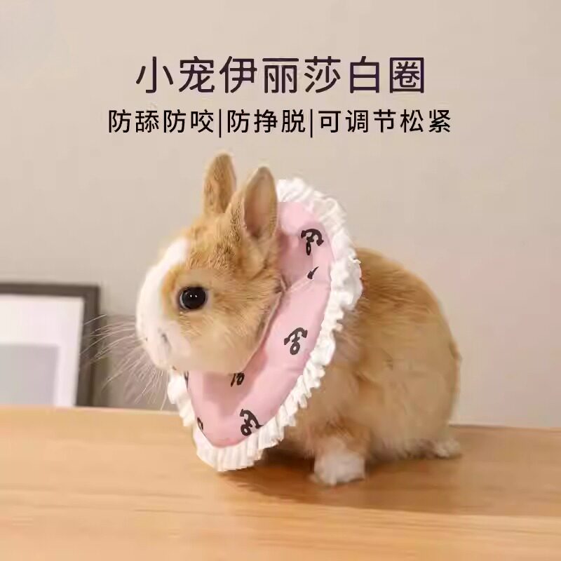 Elizabeth colar coelho mel planador Anti-lamber colar protetor cobaia Hamster pequeno animal de estimação chapelaria col