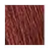 Tinta Beauty Color 6.66 Vermelho Intenso