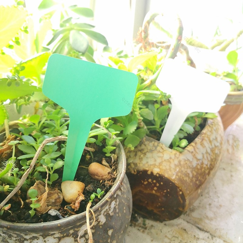 100 Pçs Marcadores De Plástico PVC Estufa Planta T Tags Etiquetas Vasos De Flores Sinal À Prova Dwaterproof Água Ervas F