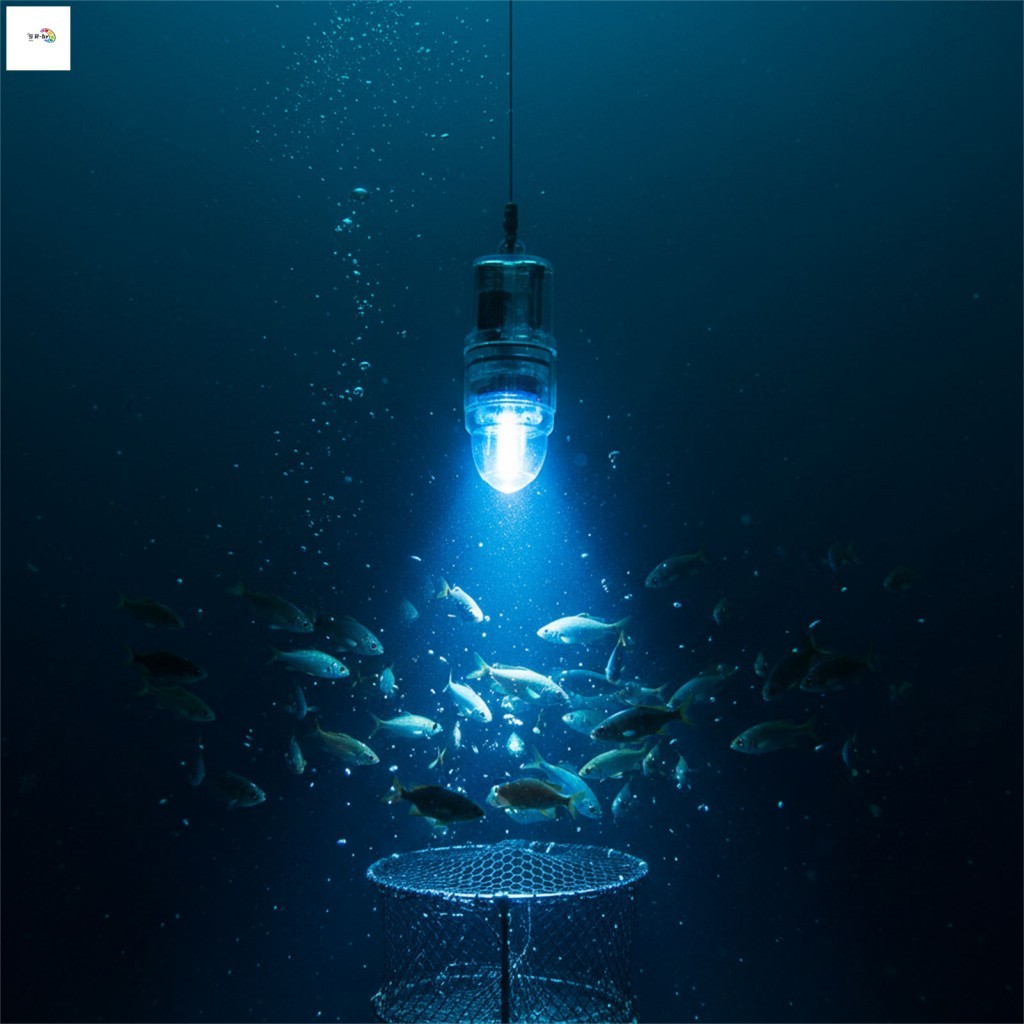 IP68 À Prova D'água LED Luz De Pesca Subaquática Para Gaiola De Peixes Mar Noite