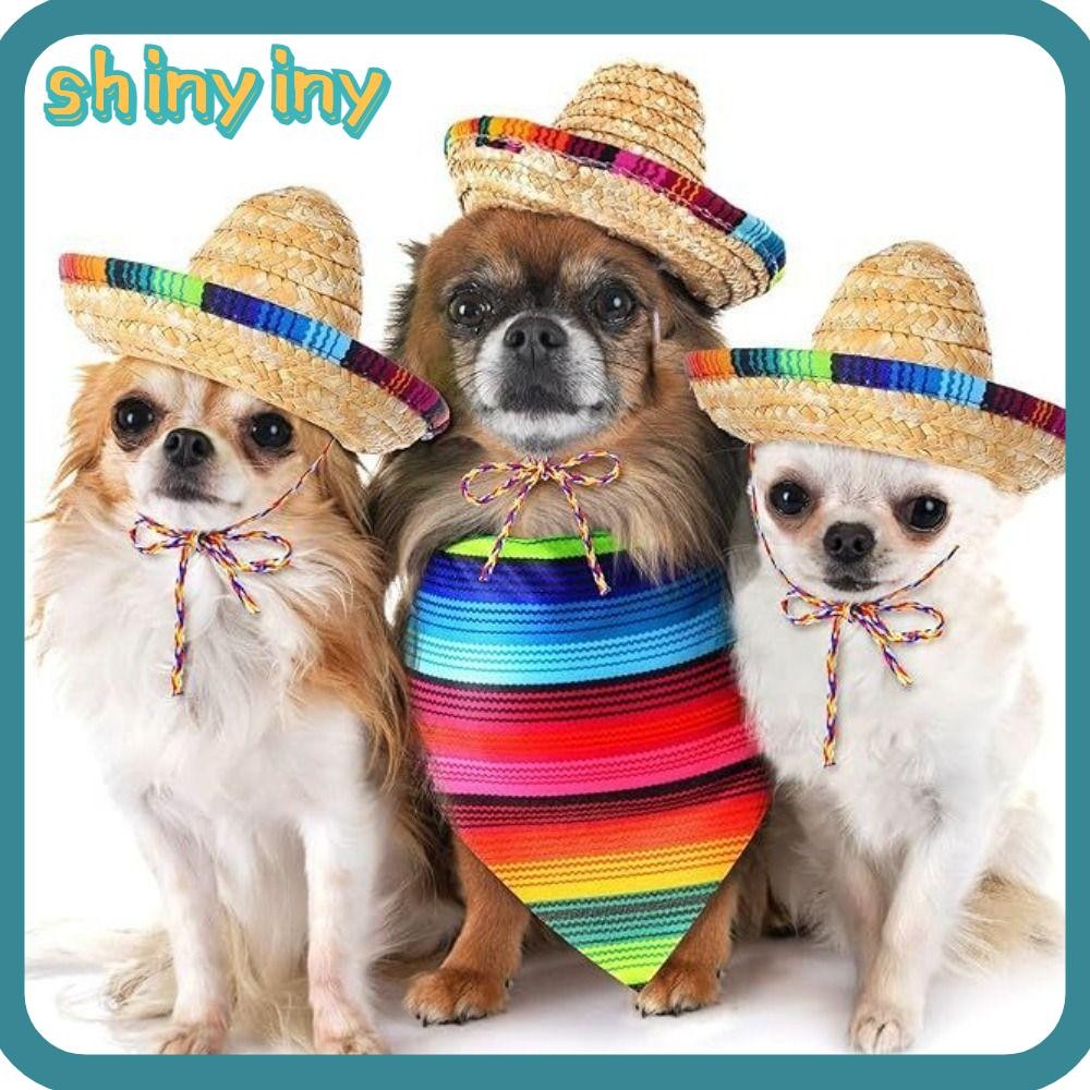 Chapéu Mexicano Brilhante , Sombrero Tecido De Palha Colorido , Decoração DIY , De Sol Para Cachorro , Suprimentos Anima