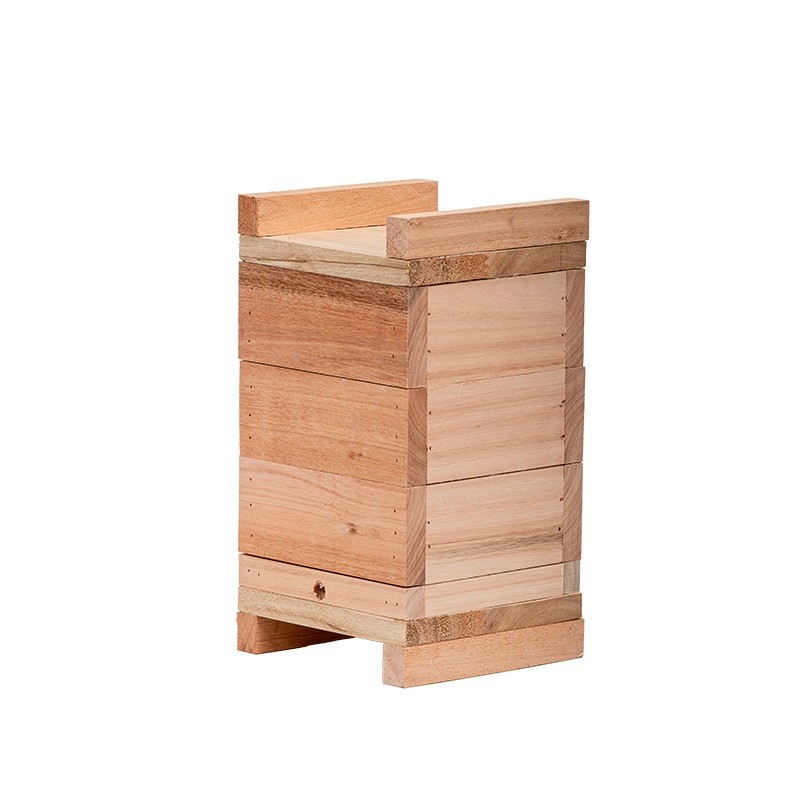 Caixa para Abelhas Sem Ferrão modelo INPA 12x12 4cm espessura Jataí Mirim Iraí Em Eucalipto