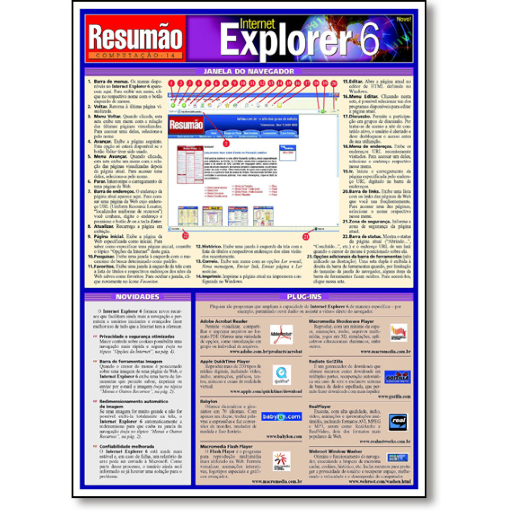 Internet Explorer 6 - Coleção Resumão Computação