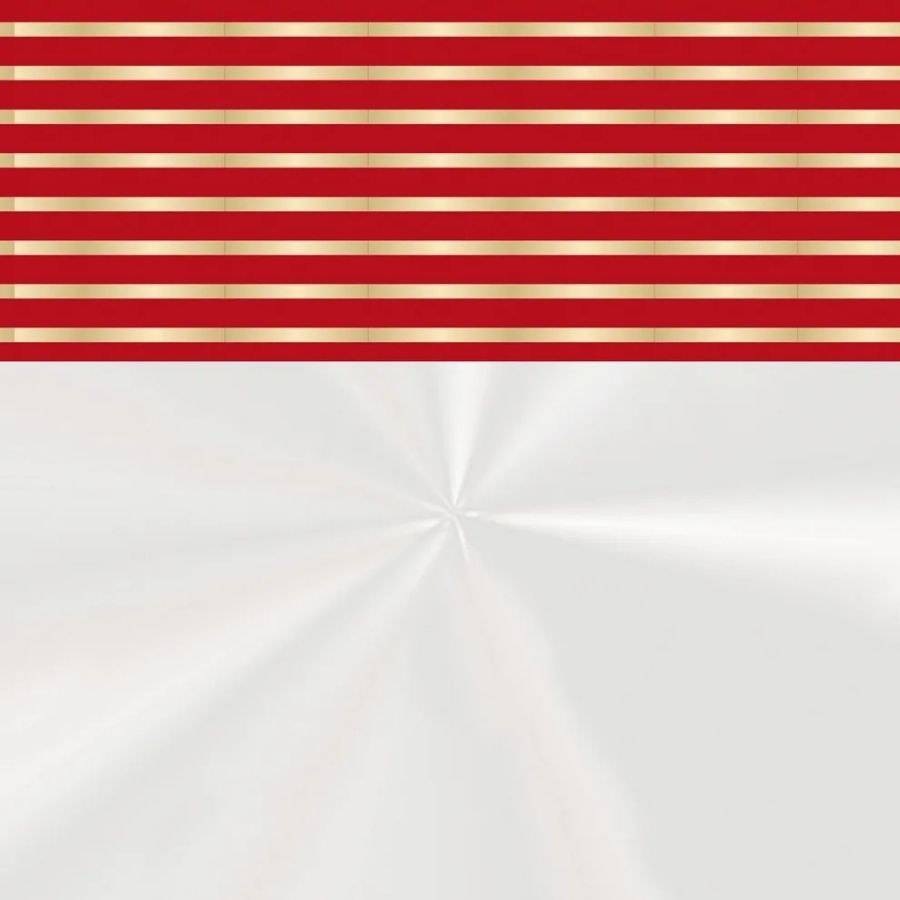 Saco Transparente - 52x70cm - Natalina Barrado  - 5 unidades - Cromus - Rizzo