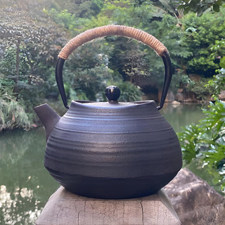 Chaleira de ferro lingote, conjunto de chá de ferro fundido estilo japonês, chaleira artesanal com rosca, saco de pano, 