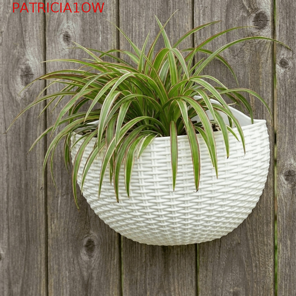 PATRICIA1OW Cesta De Suspensão De Parede , Vaso De Flores Decorativo Meio Redondo , Tecelagem De Vime De Plástico