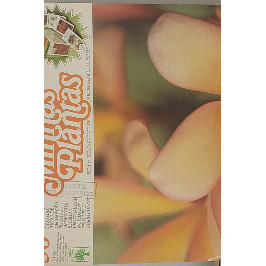 Minhas Plantas Volume 56- Jasmim-Manga