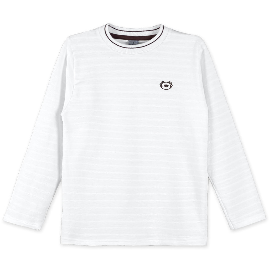 Camiseta Jacquard Manga Longa Infantil Masculino Tigor T. Tigre em Oferta na Shopee
