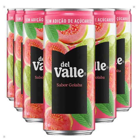 Suco Del Valle Goiaba 290Ml 6Un