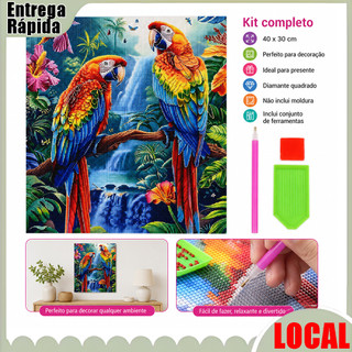 Kit de pintura diamante DIY (papagaio duplo floresta tropical) 40x30cm artesanato de diamante quadrado adequado para pre