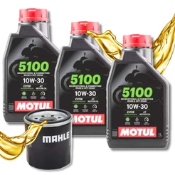 Troca de Óleo Cb 600f Hornet / Cbr 650f / Cbr 600f Motul 10w30 + Filtro