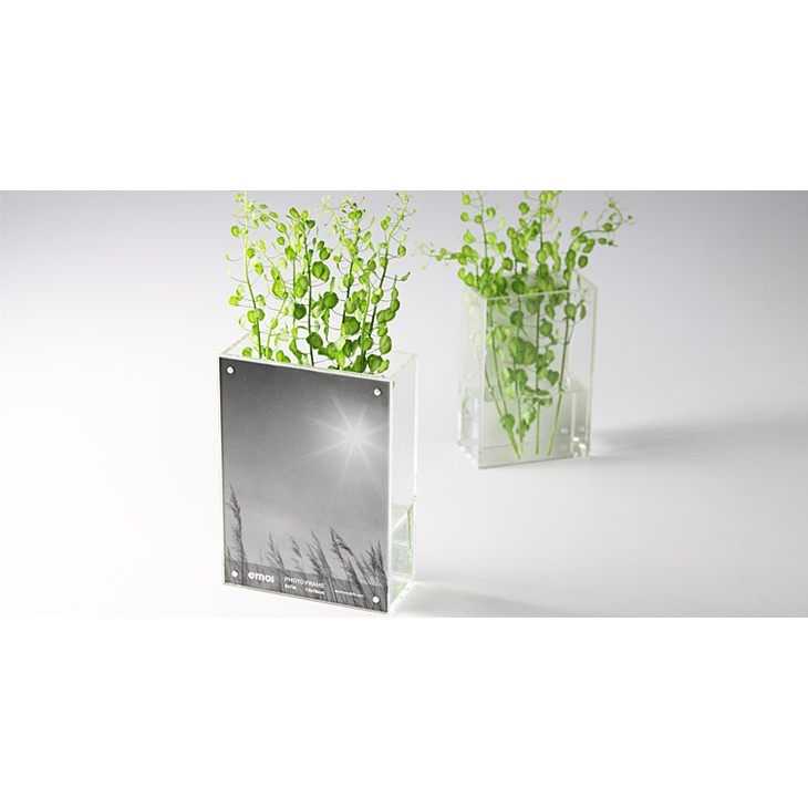 Moda vaso acrílico criativo vaso de cristal moldura de foto simples moda vaso acrílico pequeno tanque de peixes