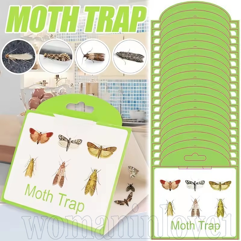 Moths Traps Despensa-Moth Catcher-Cola Pegajosa Atraente-Adesivo De Traça De Cozinha Para Roupas-Controle De Rejeição De em Oferta na Shopee