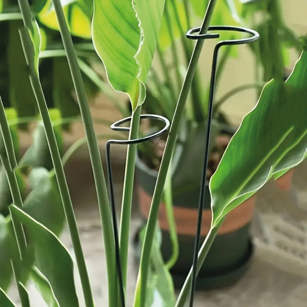 Kit 10 tutor hastes 45cm 60cm 90cm para plantas diy — imagem 2 de 2