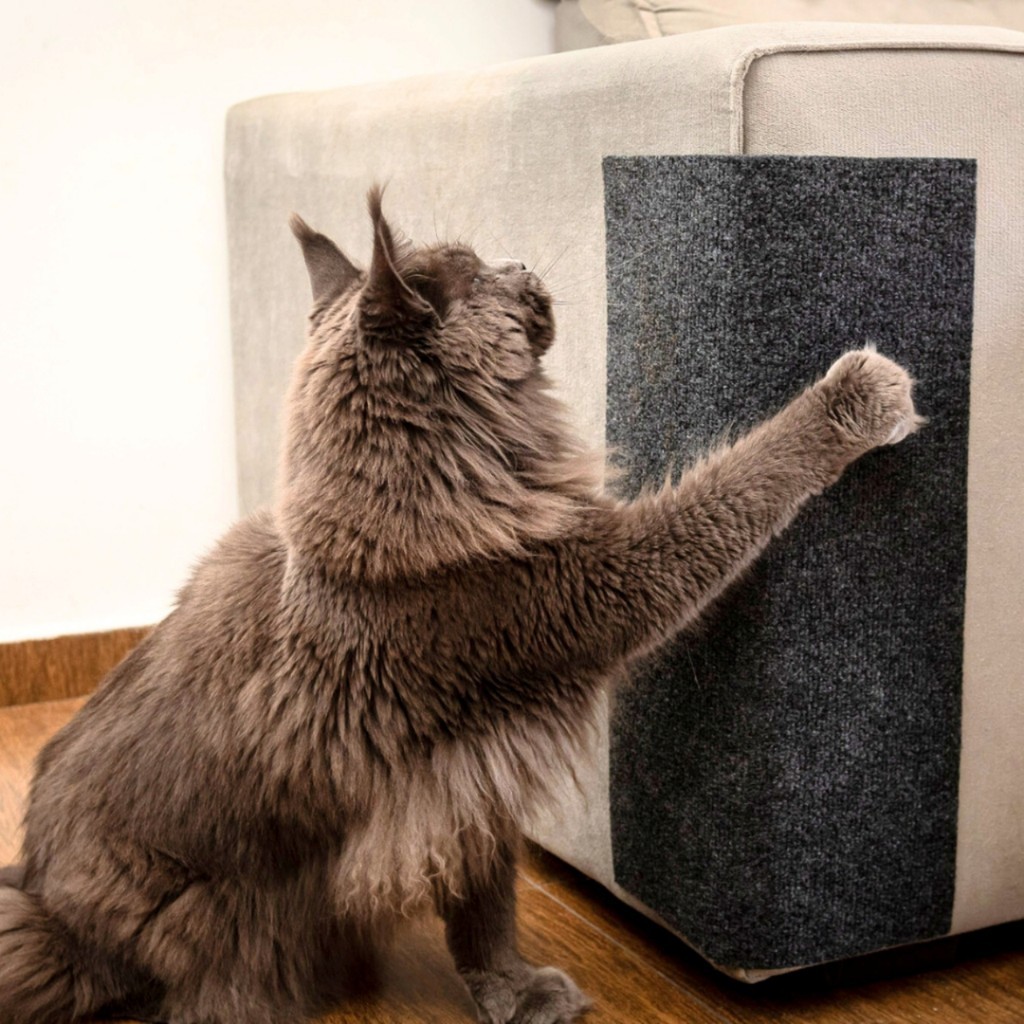 Arranhador Adesivo Para Gato Protetor Para Sofá Cama Carpete Premium Móveis Parede Tapete Para Gatos