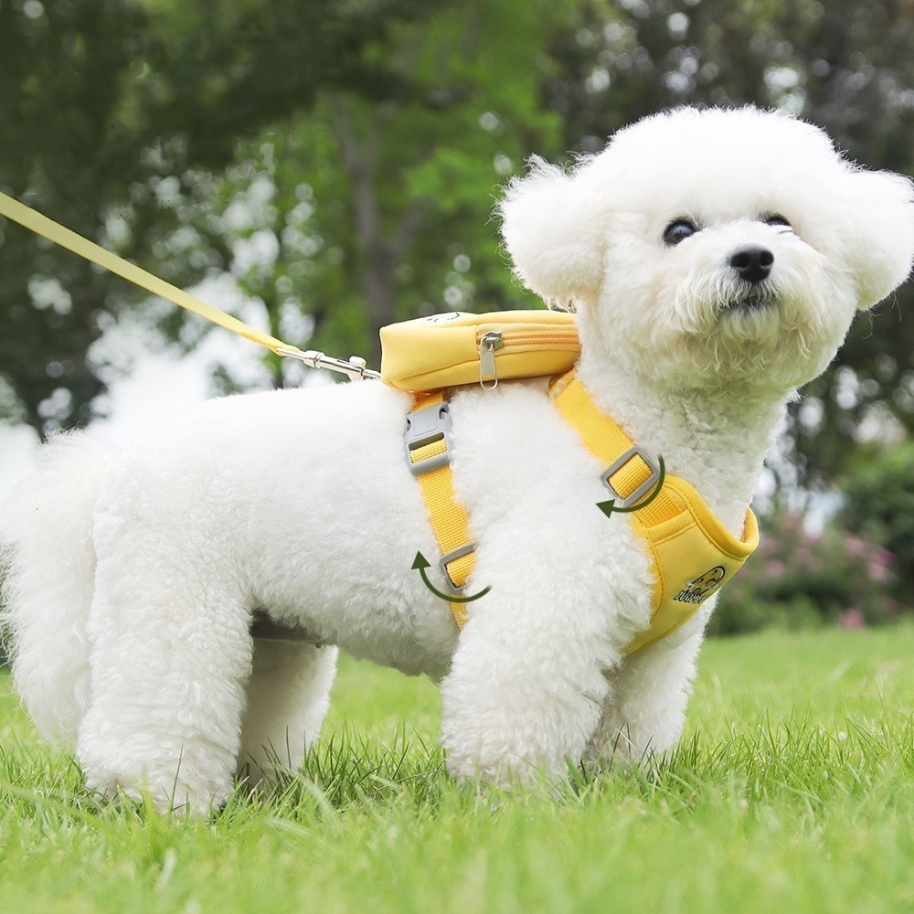 Peitoral Coleira Com Guia e Bolsa Removível Para Cachorro Pet Cães Gatos Pequeno Médio De Viagem em Oferta na Shopee