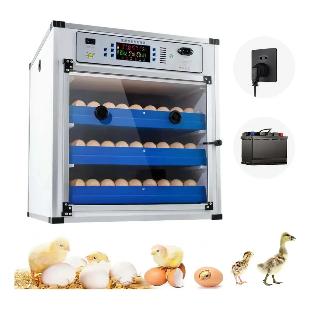 Chocadeira Automática Profissional Para 204 Ovos, Bivolt