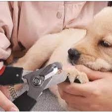 Alicate pet cortador unha grande tesoura higiene patas cachorro gato cuidado durável