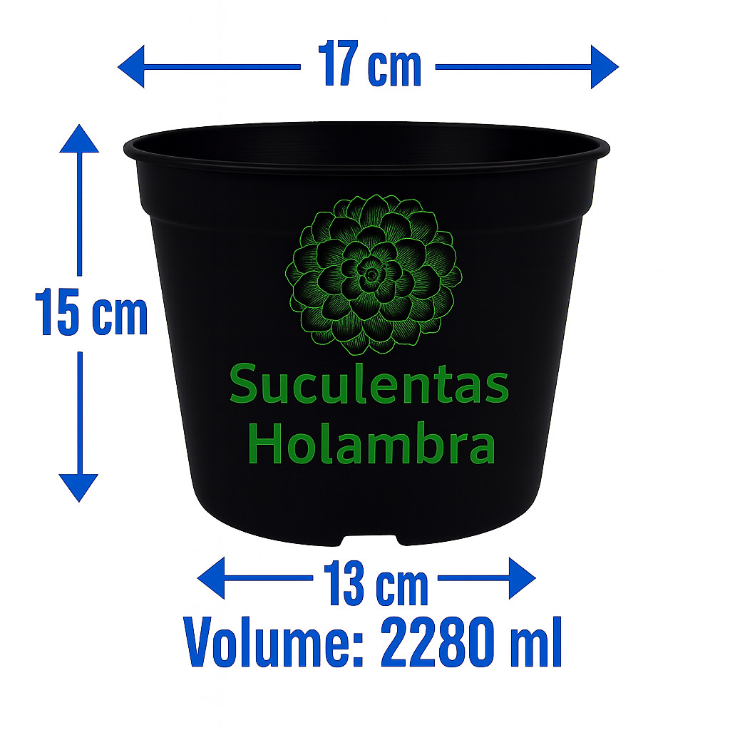 Kit 80 Vasos Pote 17 - REFORÇADO Cor Preta em Oferta na Shopee