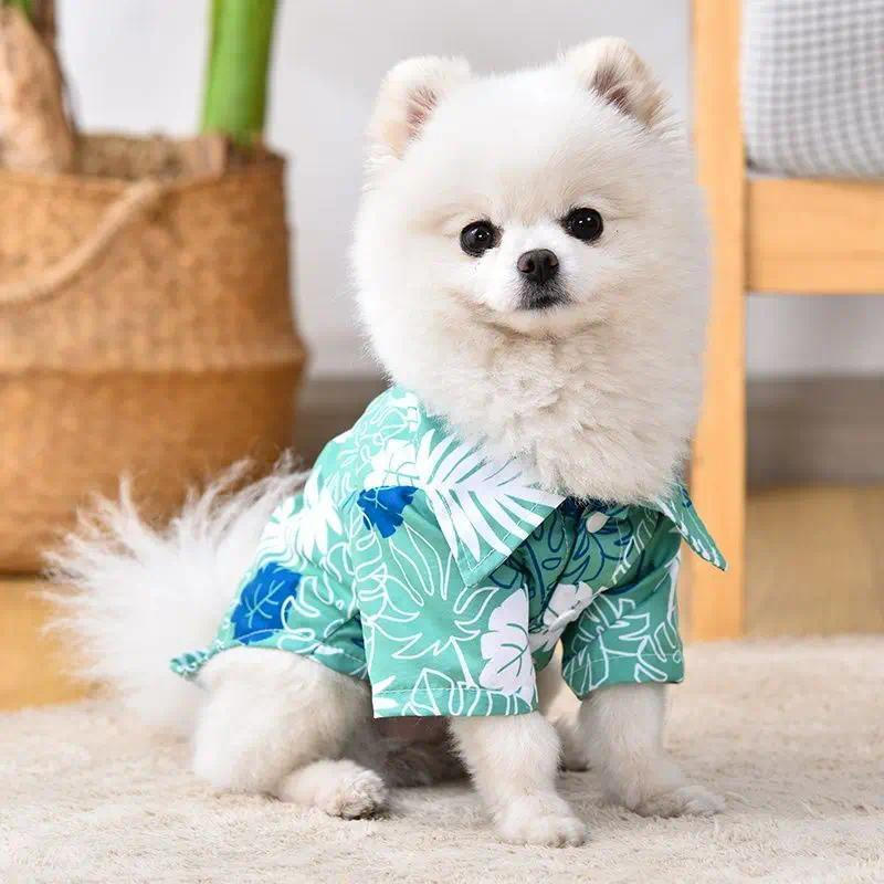 Moda Camisa De Cachorro Filhote Respirável Coqueiro Patern Gato Colete Chihuahua Yorkie Havaiano Polo Camisetas Roupas D