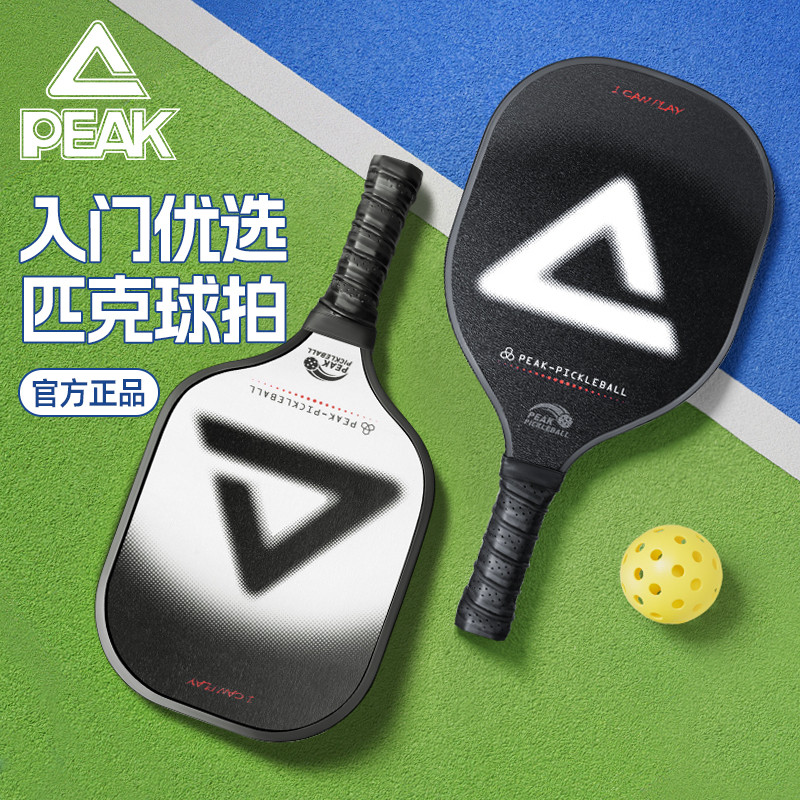 Conjunto de raquete de pickleball adulto crianças iniciantes treinamento introdutório conjunto completo raquete de pickl