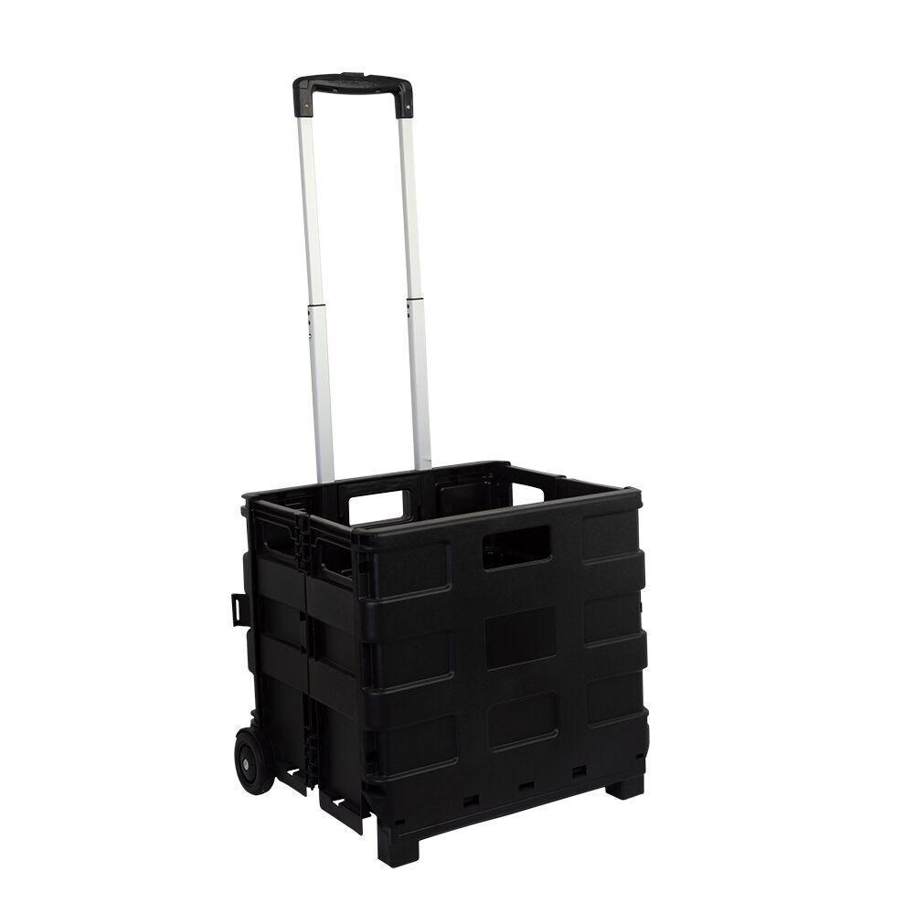 Carrinho de Compras Multi Função 25kg Brico Forte