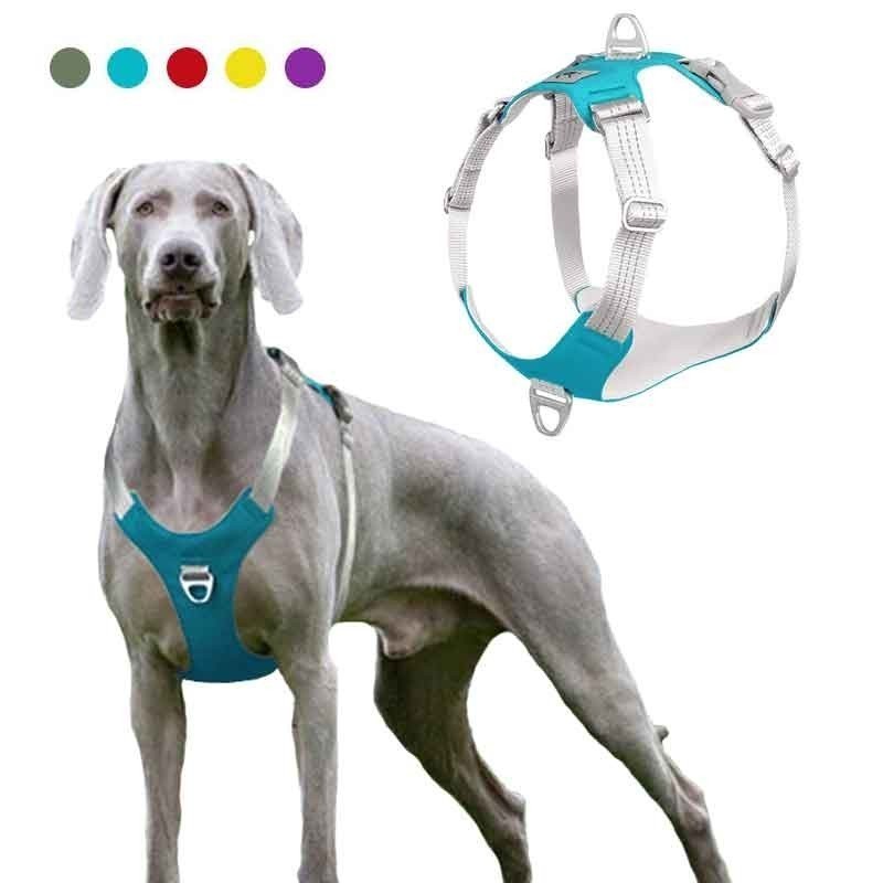Coleira Refletiva para Cães e Gatos, Arnês de Treinamento para Cães de Médio e Grande Porte, Labrador