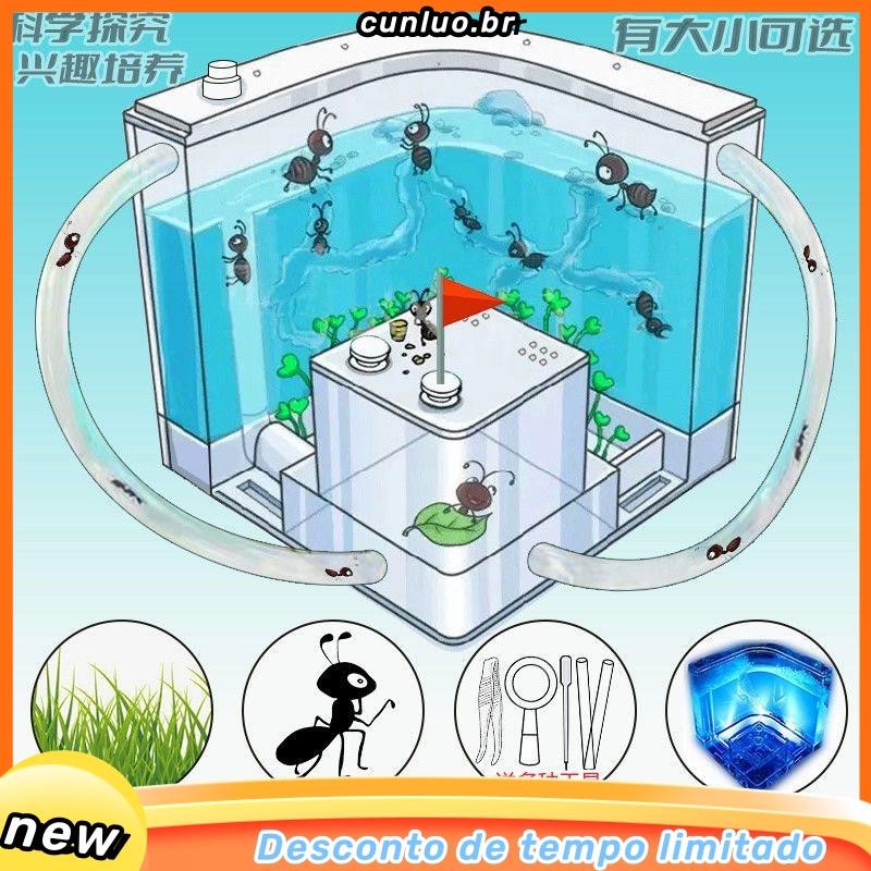 O que é Terrario de Formigas? Guia e Onde Comprar | BuscaProdutos
