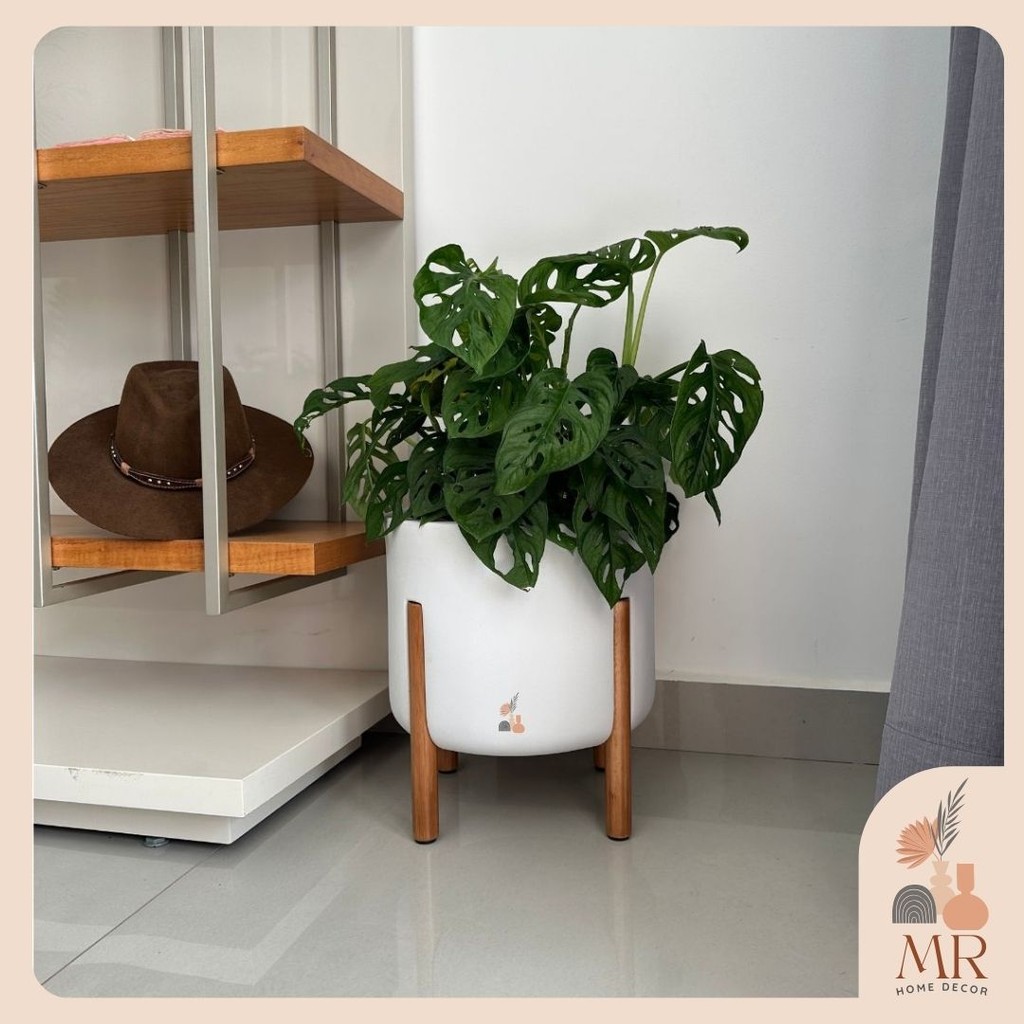 Vaso para planta Mônaco M, cilíndrico com pé em madeira design moderno
