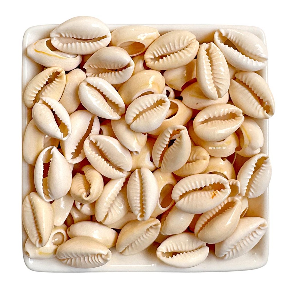 Búzios Natural - 40 pçs em Oferta na Shopee