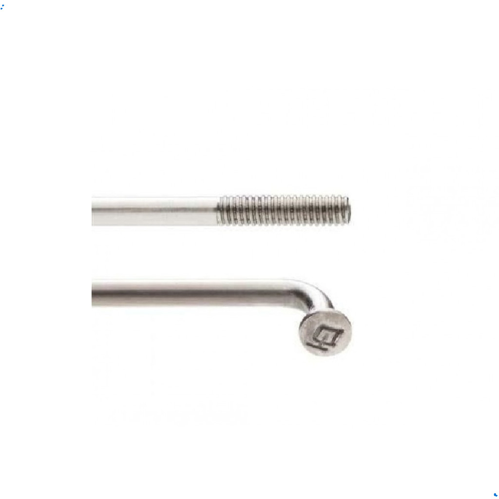 Raio DT Swiss Champion 2.0 X 298mm  J-Bend Prata - Un