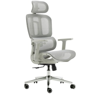Cadeira de Escritório Dr. Office Business, Mesh, 2D, Ajust, Suporta até 120kg, Cinza, DR-CH-BNN2DGF em Oferta na Shopee