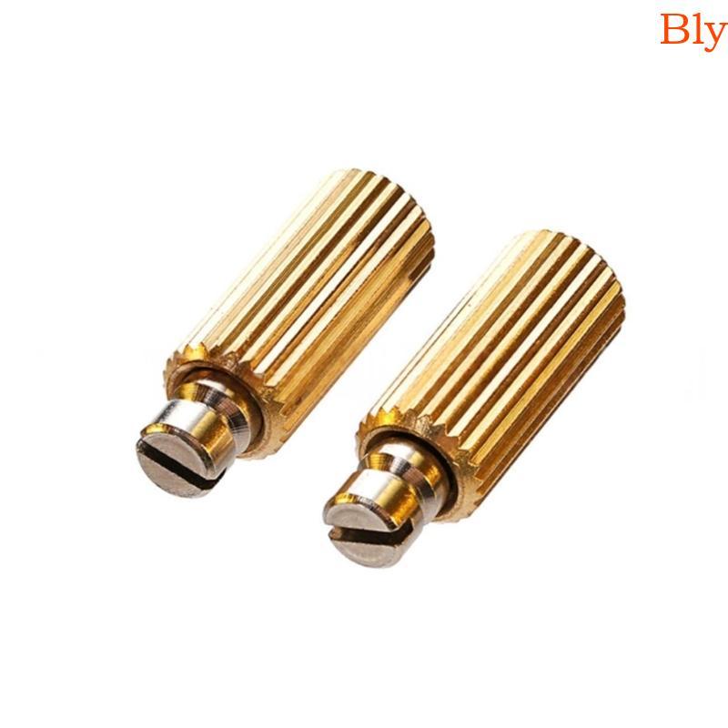Bly 2 Peças Parafusos De Ajuste De Elevação Ponte Tremolo De Guitarra Âncora