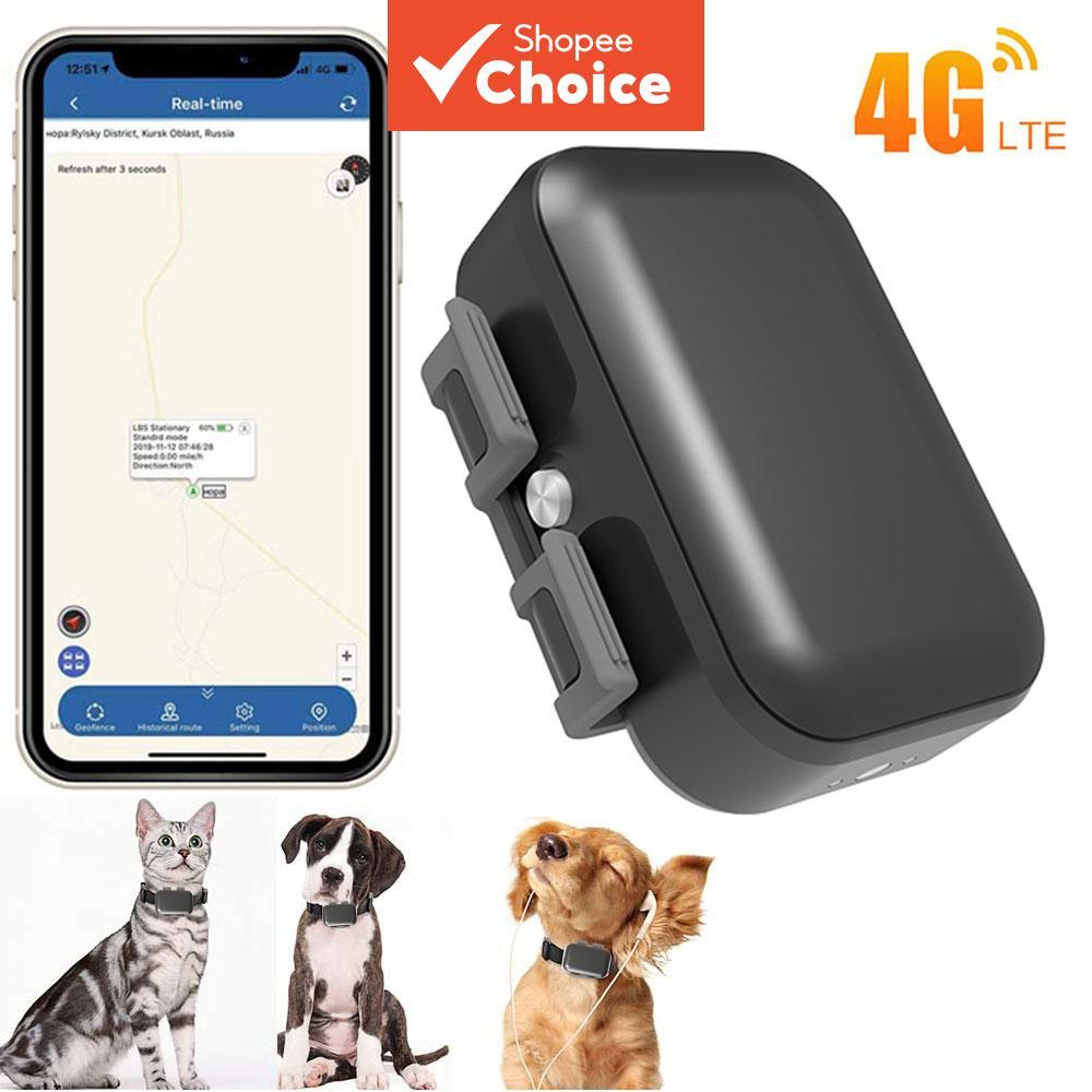 Rastreador GPS para gatos e cães, 4G, inteligente, à prova d'água, magnético, localização em tempo real, cerca