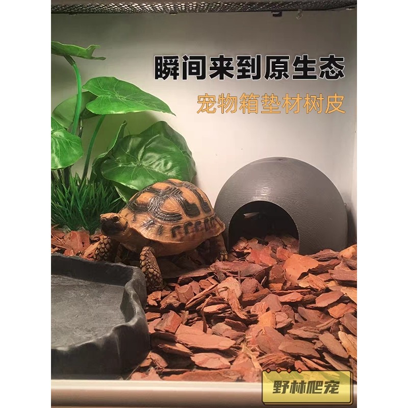 Caixa de lagarto para animais de estimação, escalada, criação de animais de estimação, material de cama, casca, material