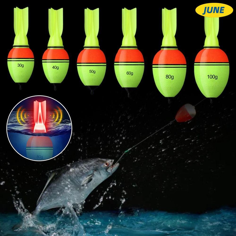 Peixes de Eva para Pescaria: Onde Comprar | BuscaProdutos