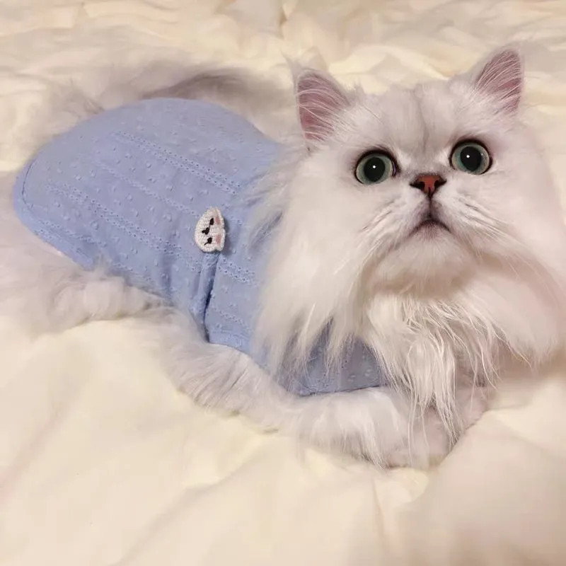 Roupas de gato verão fino luz respirável Anti-fiapos Muppets britânico curto ouro gradiente primavera verão cão roupas p
