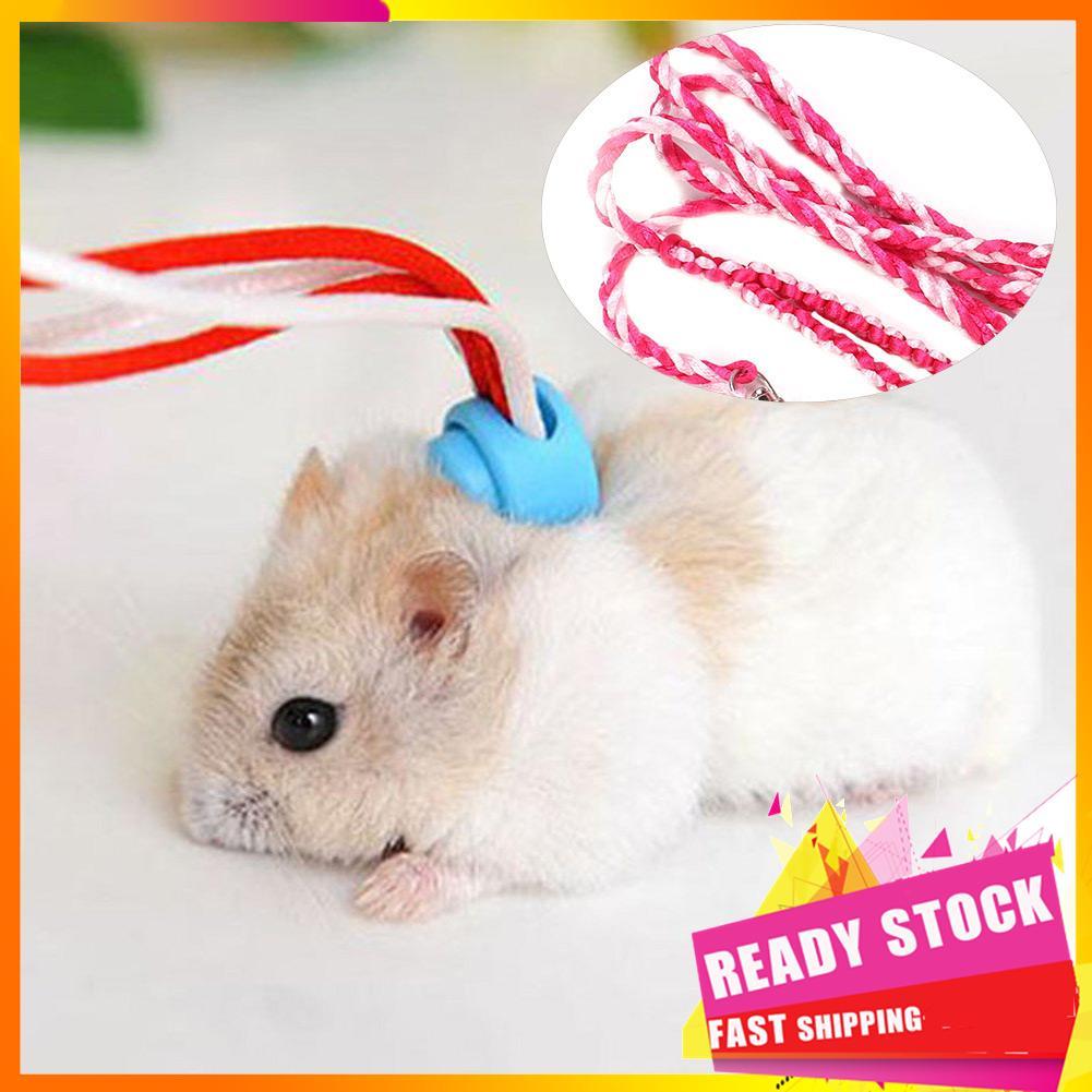 Hbhbhbhbb Arnês de hamster ajustável pequeno animal de estimação trela ao ar livre treinamento de caminhada com sino