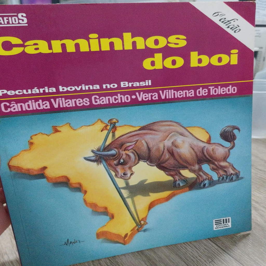Caminhos do Boi autor Gancho, Cândida Vilares