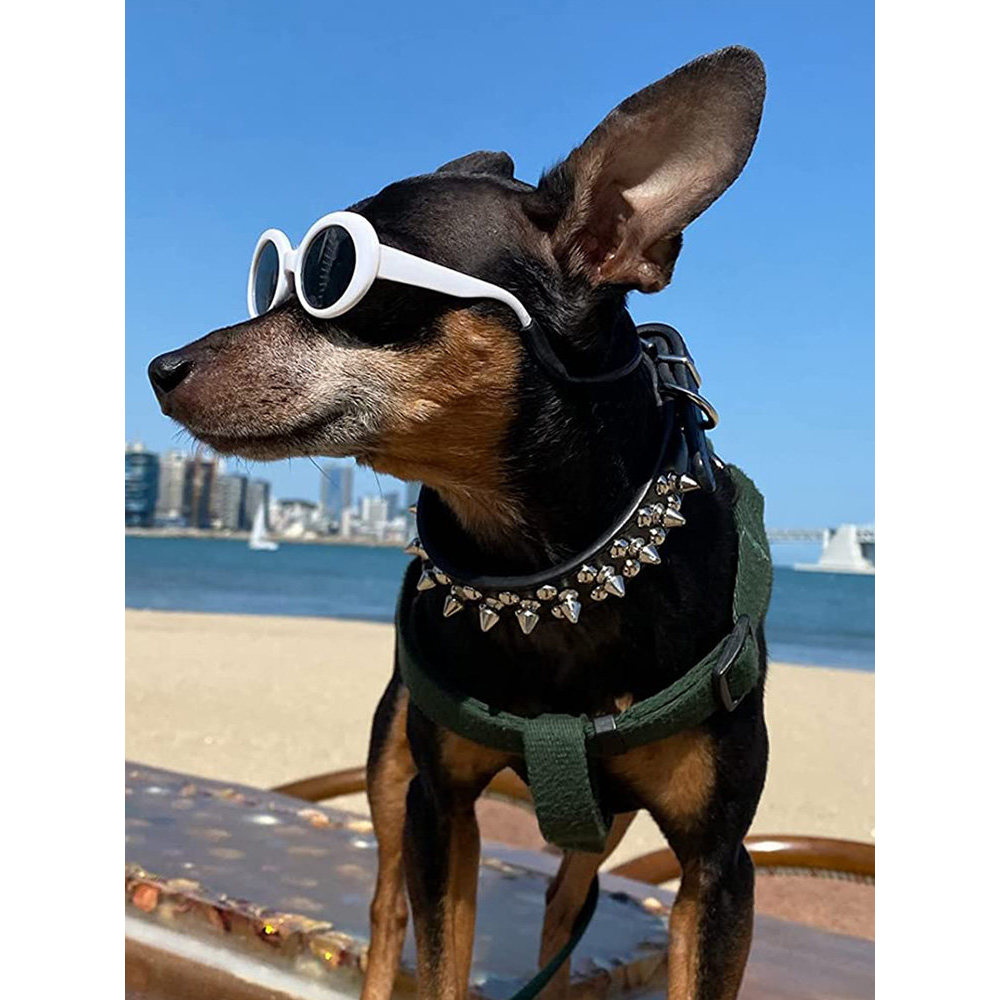 Coleira De Cachorro De Metal Anti-Mordida Rebite Pequeno E Médio Pescoço Capa Francesa Estimação Pequena shengjing.my202