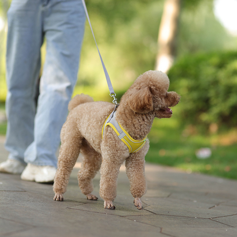 Coleira Cachorro Petz Reflexivos Para Cães De Camuflagem-Ajustáveis , Com Design Anti-Fuga Respiráve Easy-Care