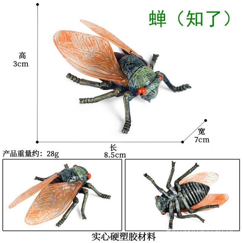 Mantis de PVC capturando cigarra, grilo nas costas, modelo de grilo de plástico, simulação cognitiva de grilo, locust, b