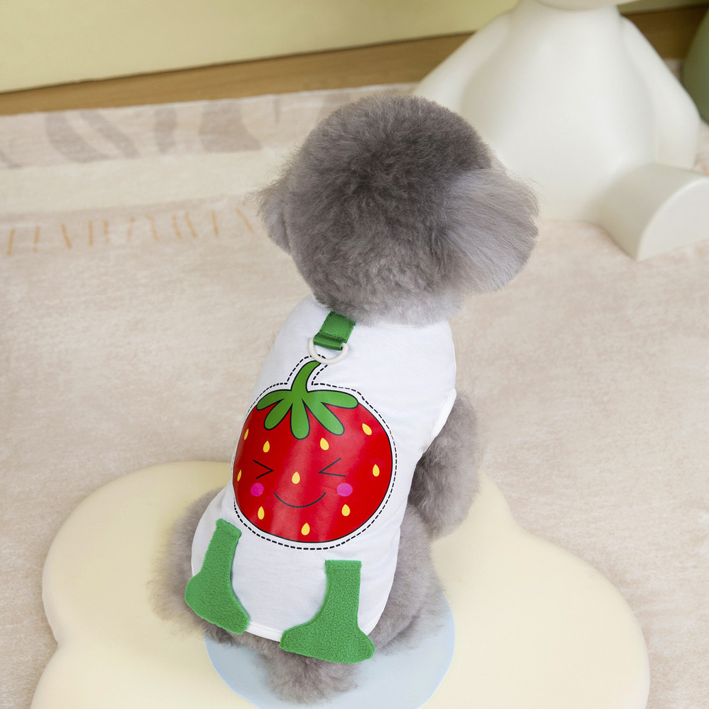 Colete de verão para cachorro design urso roupa leve respirável para passeios e uso interno