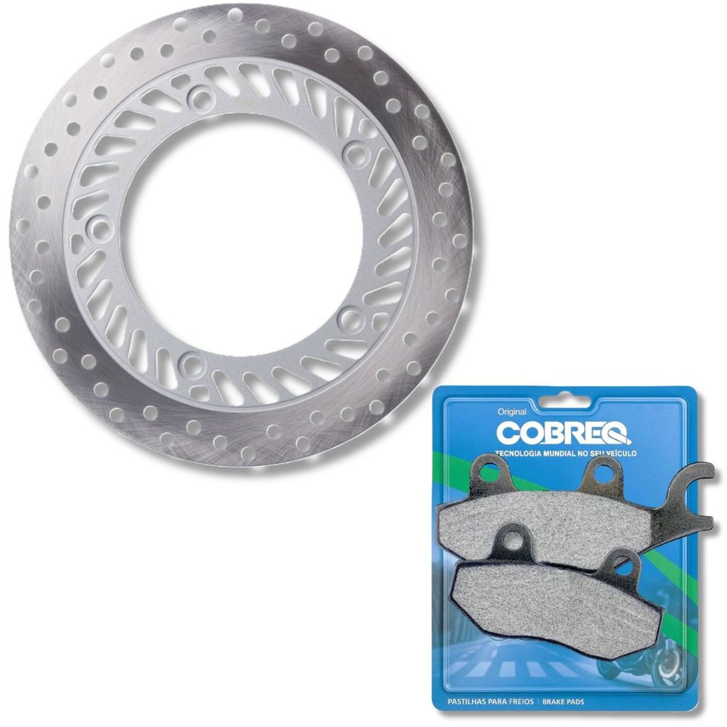 Disco de Freio Dianteiro Cb 300r Sem Abs 2009-2015 / Cbx 250 Twister + Pastilhas Cobreq