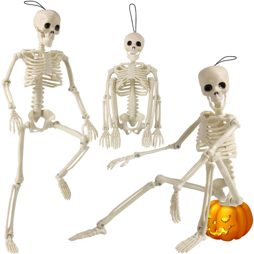 Esqueletos Halloween: Onde Comprar | BuscaProdutos