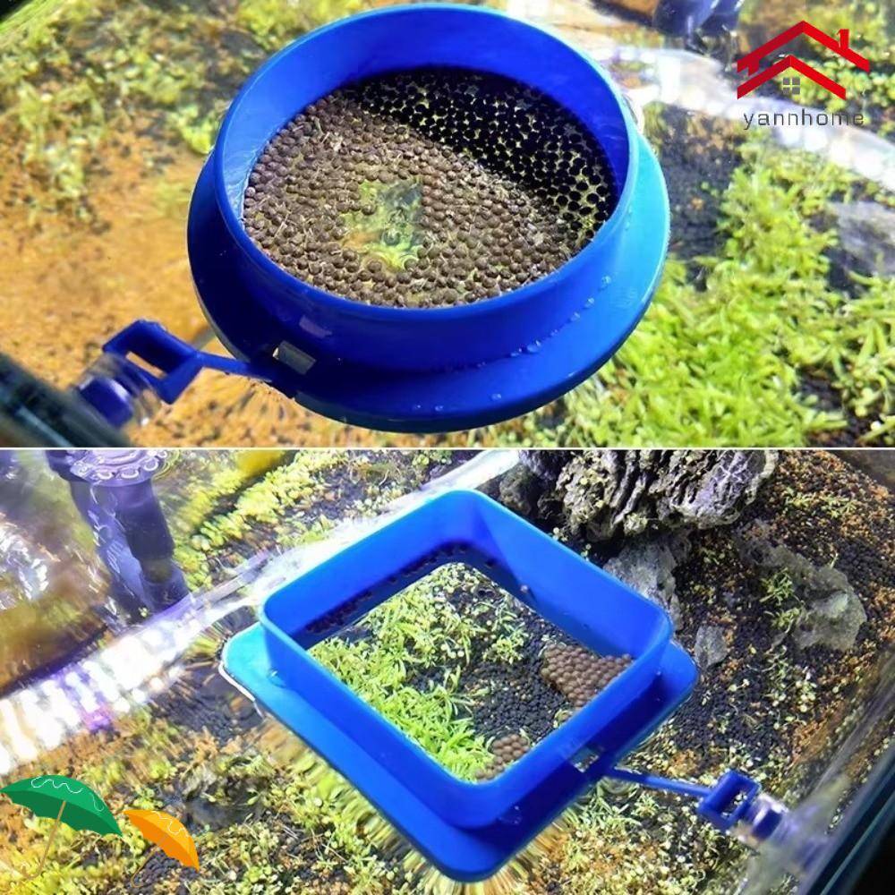 YANNHOME 2 Peças De Anel De Alimentação De Aquário , Ventosa , Design De Flutuabilidade , Alimentador De Tanque De Peixe