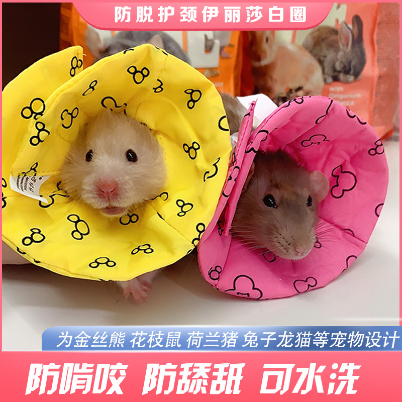 Tao Tao pequeno Animal de estimação Elizabeth anel protetor anel de enfermagem Chipmunk urso dourado cobaia medicina