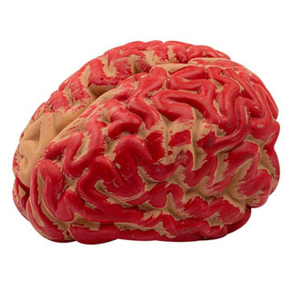 Cerebro Falso Sangue Artificial Halloween Festa Tematica Realista Decoraçao Susto Terror Enfeite